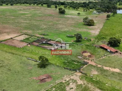 Fazenda/Sítio à venda, 500m² no , Araguaçu