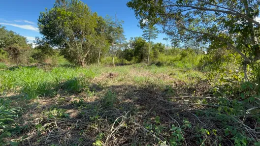 Lote/Terreno com 1 Quarto à venda, 100000m² no União, Manacapuru