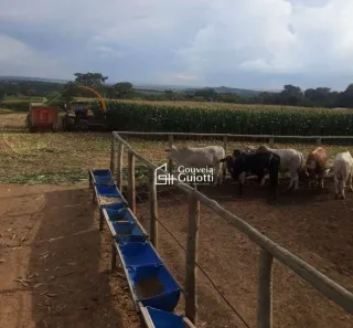 Fazenda/Sítio com 2 Quartos à venda, 154880m² no , Silvânia