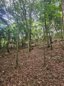 Lote/Terreno à venda, 1300m² no Centro, Juquitiba