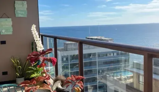 Apartamento com 2 Quartos à venda, 58m² no Barra, Salvador