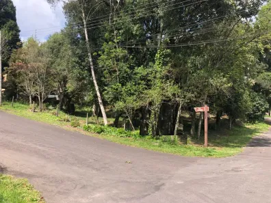 Lote/Terreno à venda, 1078m² no Ipê Amarelo, Gramado
