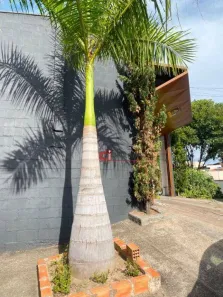 Galpão/Depósito/Armazém para alugar, 200m² no Nova Jaguariúna, Jaguariúna