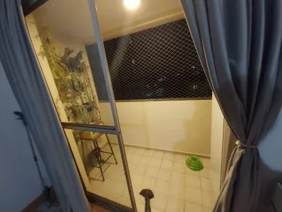 Apartamento com 2 Quartos para alugar, 55m² no Rio Pequeno, São Paulo