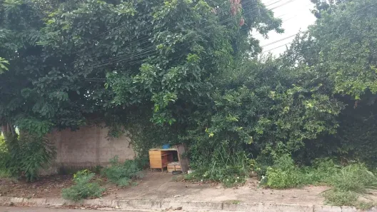 Lote/Terreno à venda, 300m² no Residencial Vereda dos Buritis, Goiânia