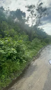 Lote/Terreno à venda, 3000m² no Jardim Coronel, Itanhaém