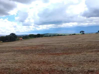 Fazenda/Sítio à venda, 15m² no centro, Cezarina