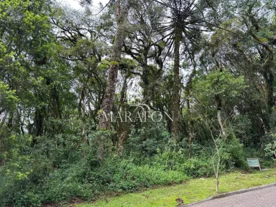 Lote/Terreno à venda, 783m² no Bosque Sinoserra, Canela