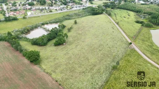 Fazenda/Sítio à venda, 60000m² no , Triunfo