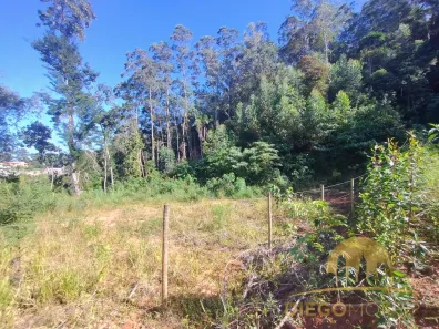 Lote/Terreno à venda, 2129m² no Remédios, Mairiporã