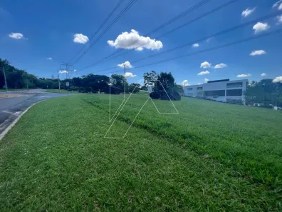 Lote/Terreno à venda, 1031m² no Loteamento Alphaville Campinas, Campinas