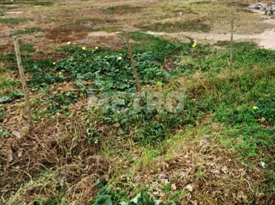 Lote/Terreno à venda, 298m² no Vila Eduardo, Petrolina