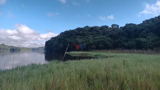 Fazenda/Sítio com 2 Quartos à venda, 50m² no Área Rural de Araucária, Araucária