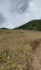 Lote/Terreno à venda, 2069m² no Pedro do Rio, Petrópolis