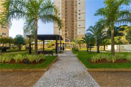 Apartamento com 3 Quartos à venda, 77m² no Jardim Avelino, São Paulo