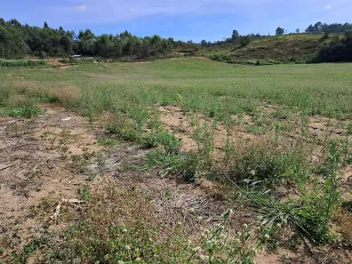 Fazenda/Sítio com 3 Quartos à venda, 74000m² no , Desterro de Entre Rios
