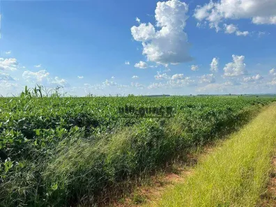 Fazenda/Sítio à venda, 992200m² no Centro, Pedro de Toledo