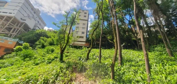 Lote/Terreno à venda, 360m² no São Lucas, Belo Horizonte