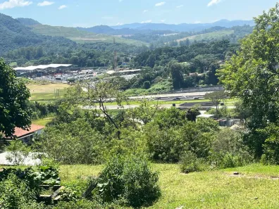 Lote/Terreno à venda, 12000m² no Parque Edu Chaves, São Paulo