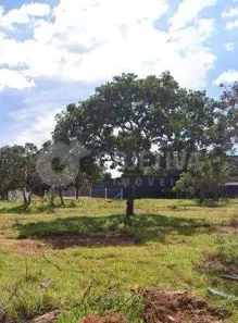 Lote/Terreno à venda, 1000m² no Morada Nova, Uberlândia
