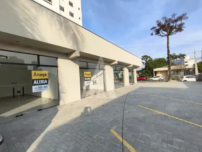 Ponto Comercial para alugar, 46m² no Anita Garibaldi, Joinville