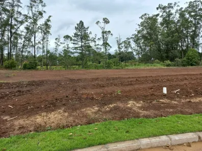 Lote/Terreno à venda, 364m² no São Defende, Criciúma