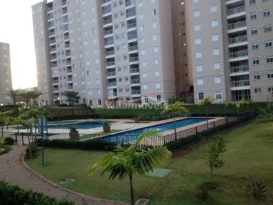 Apartamento com 3 Quartos para alugar, 77m² no Jardim São Vicente, Campinas