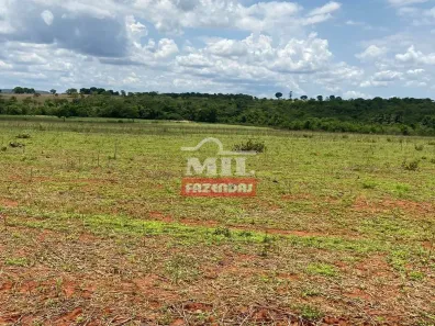 Fazenda/Sítio à venda, 387200m² no , Mairipotaba