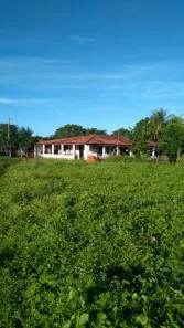 Fazenda/Sítio à venda, 1500000m² no Aracati, Aracati
