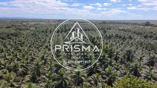 Fazenda/Sítio com 7 Quartos à venda, 3300000m² no Boa Vista, Paraipaba