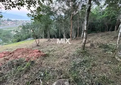 Lote/Terreno à venda, 390m² no Enseada do Brito (Ens Brito), Palhoça