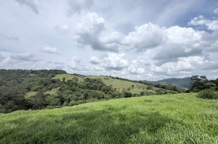 Fazenda/Sítio à venda, 65000m² no Área Rural de Pinhalzinho, Pinhalzinho