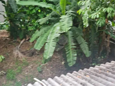 Lote/Terreno à venda, 1000m² no São Cristóvão, Rio de Janeiro