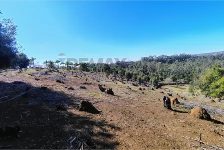 Lote/Terreno à venda, 35000m² no Bairro da Ponte, Itatiba