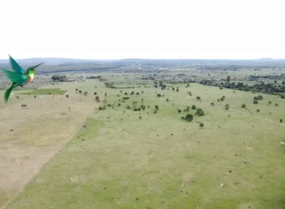 Fazenda/Sítio com 6 Quartos à venda, 1m² no Bom Retiro, Barra do Choça