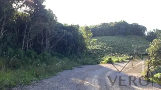 Imóvel Comercial à venda, 20937m² no Monte Bérico, Caxias do Sul