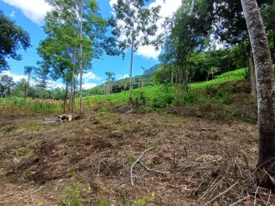 Lote/Terreno à venda, 20000m² no Linha Olinda, Nova Petrópolis