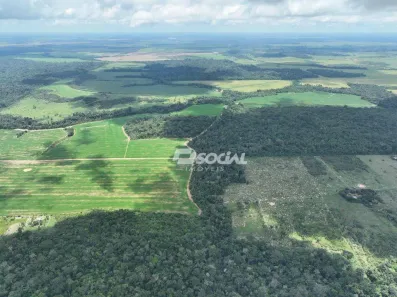 Fazenda/Sítio à venda, 254100m² no Área Rural de Porto Velho, Porto Velho