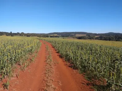 Fazenda/Sítio com 5 Quartos à venda, 4850m² no Área Rural de Formosa, Formosa