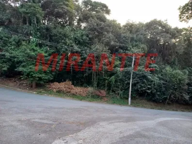 Lote/Terreno à venda, 1424m² no Caraguatá, Mairiporã