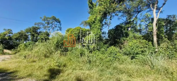 Lote/Terreno à venda, 1000m² no Recanto Campestre Internacional de Viracopos Gleba 2, Indaiatuba