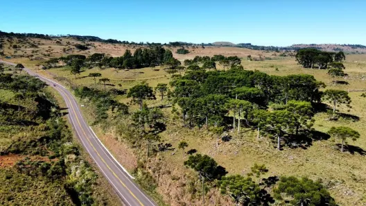 Fazenda/Sítio à venda, 11000m² no , Urupema
