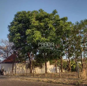 Lote/Terreno à venda, 300m² no Vigilato Pereira, Uberlândia