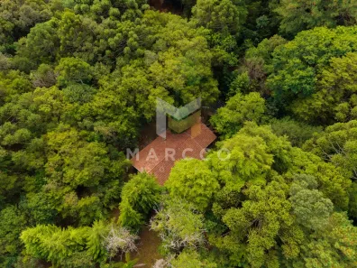 Fazenda/Sítio com 2 Quartos à venda, 10446m² no Contenda, São José dos Pinhais