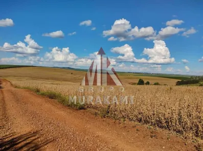Fazenda/Sítio com 1 Quarto à venda, 100m² no , Bom Sucesso