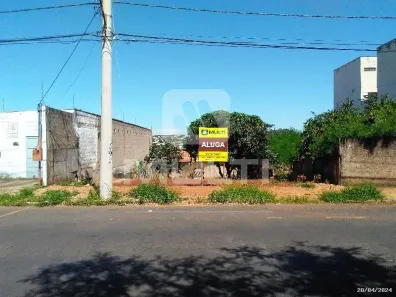 Lote/Terreno com 1 Quarto para alugar, 360m² no Daniel Fonseca, Uberlândia
