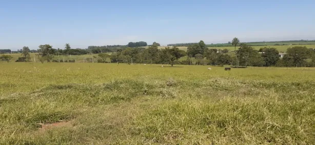 Fazenda/Sítio com 1 Quarto à venda, 86878m² no , Cajuru