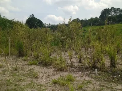 Lote/Terreno à venda, 625m² no Caxambu, Jundiaí