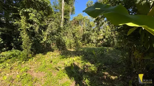 Lote/Terreno à venda, 205m² no Itamambuca, Ubatuba