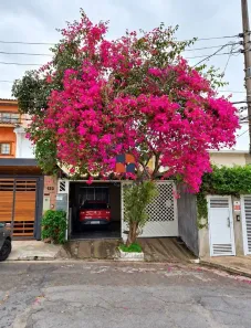 Casa com 3 Quartos à venda, 161m² no Vila Madalena, São Paulo
